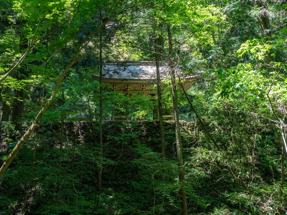 穴門山神社：社殿下から見る随神門