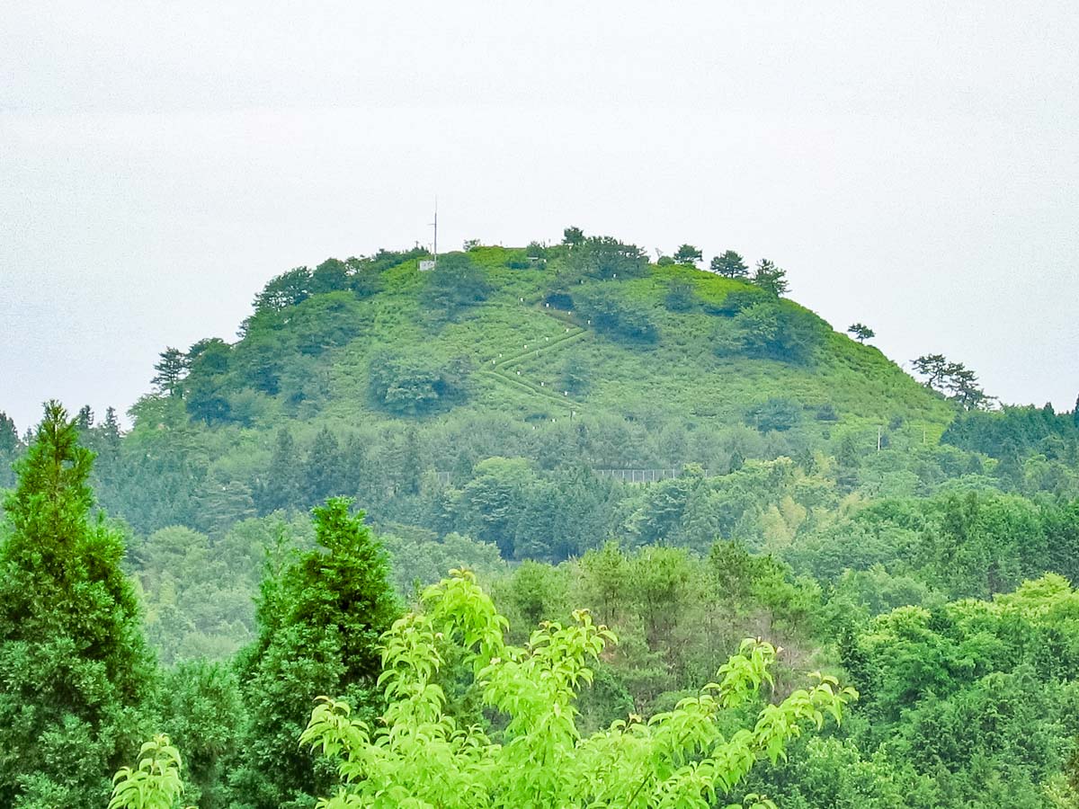 穴門山神社：鳥居前から望む弥高山