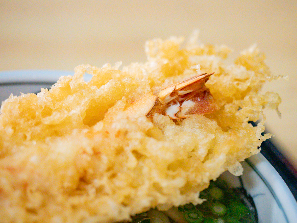 いしはるうどん:スペシャルうどん