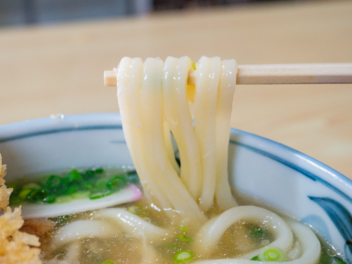 いしはるうどん:スペシャルうどん